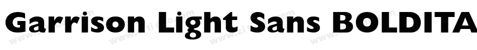 Garrison Light Sans BOLDITALIC字体转换